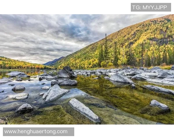探索阿拉巴的魅力与文化遗产，揭示这片土地的独特风情与历史故事